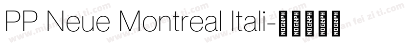 PP Neue Montreal Itali字体转换